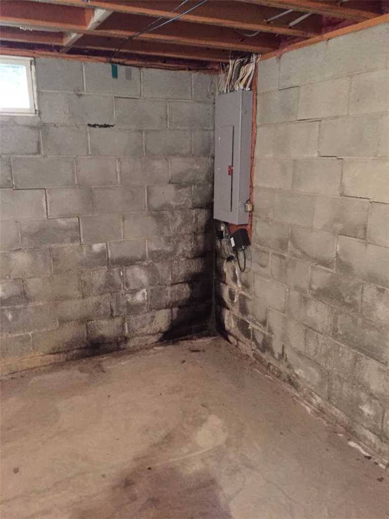 How To Protect Your Home From Basement Mold Mount Valley